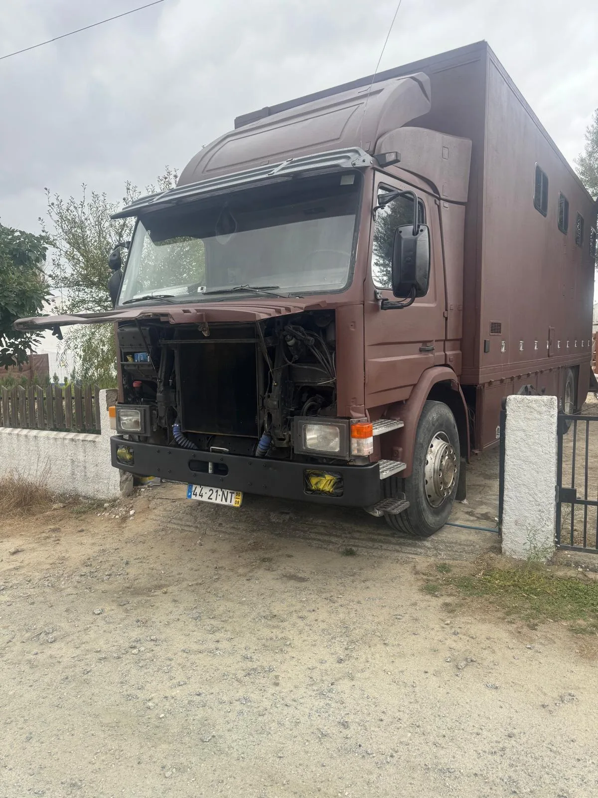 Scania Camião Transporte de Cavalo — foto de capa