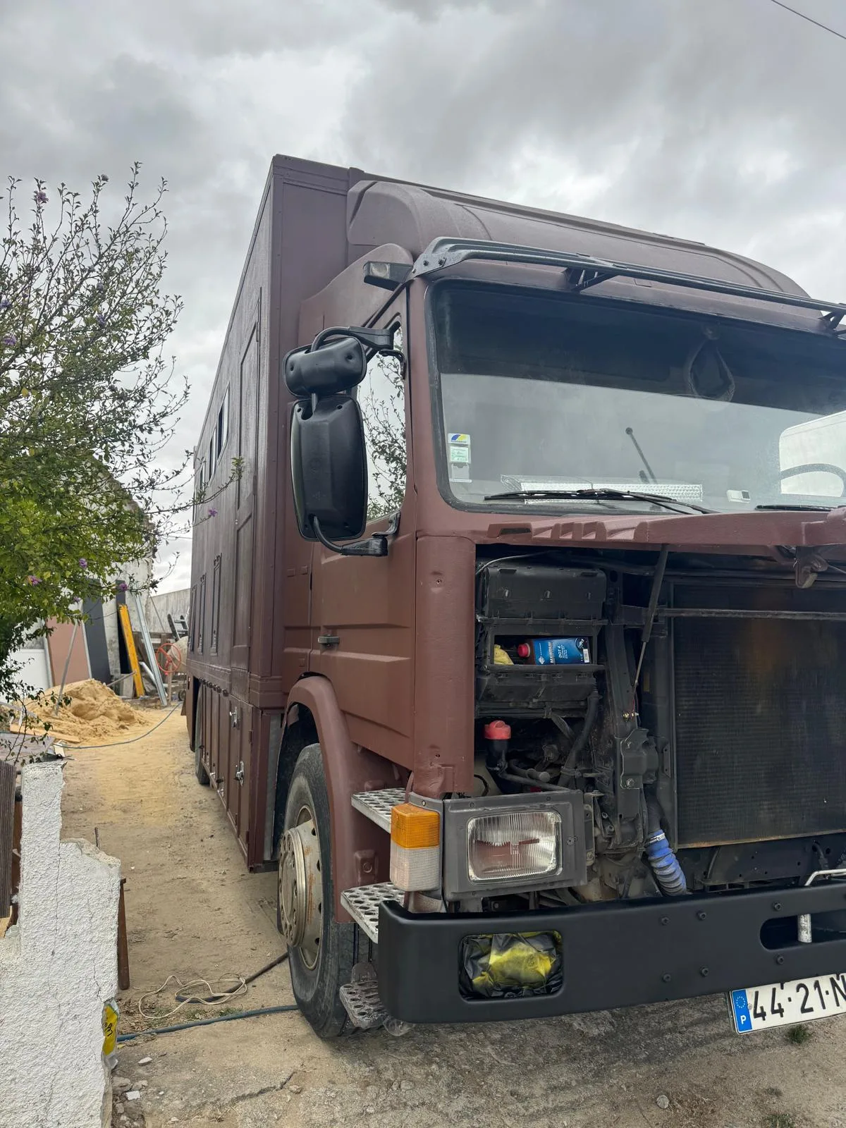 Scania Camião Transporte de Cavalo — view 6
