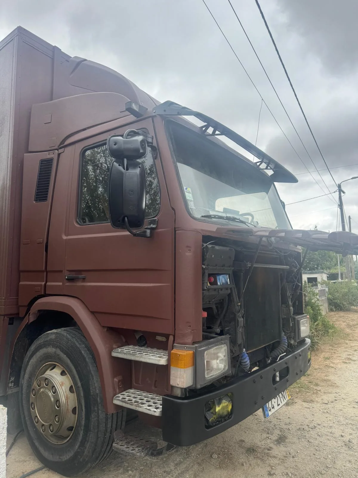 Scania Camião Transporte de Cavalo — view 4